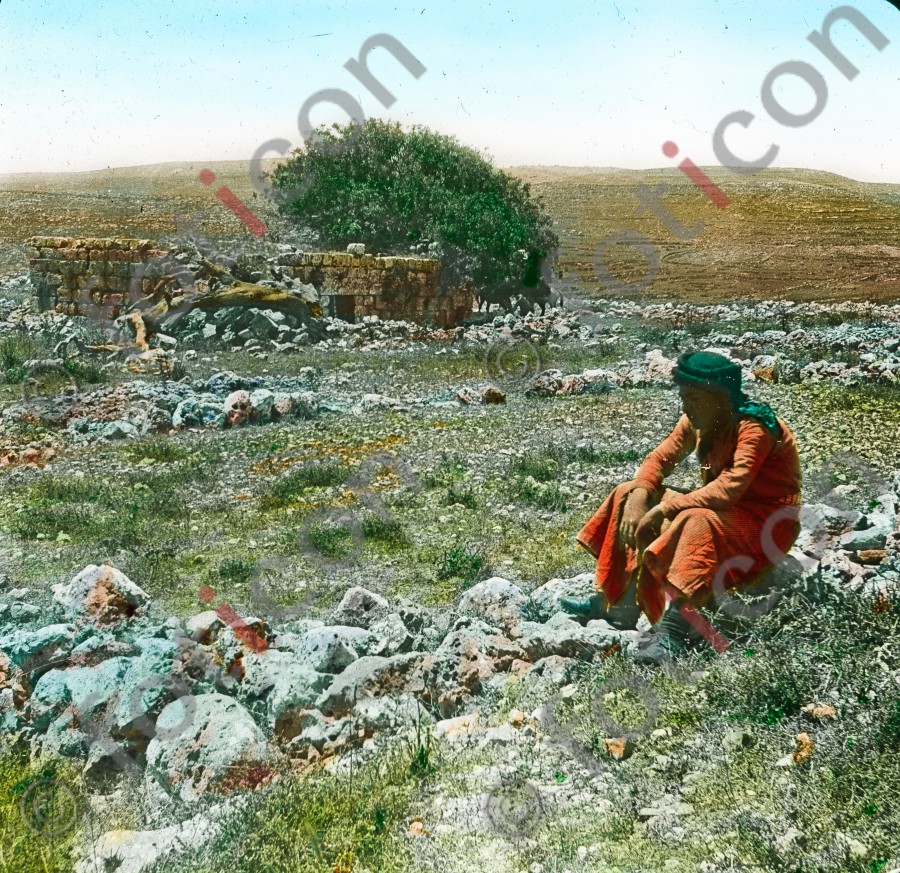 Hirten in Palästina | Shepherds in Palestine (foticon-simon-054-051.jpg)
